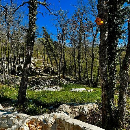 Luxury Villa Andrea Vrzika In Forest Near The Sea Zagvozd Екстер'єр фото