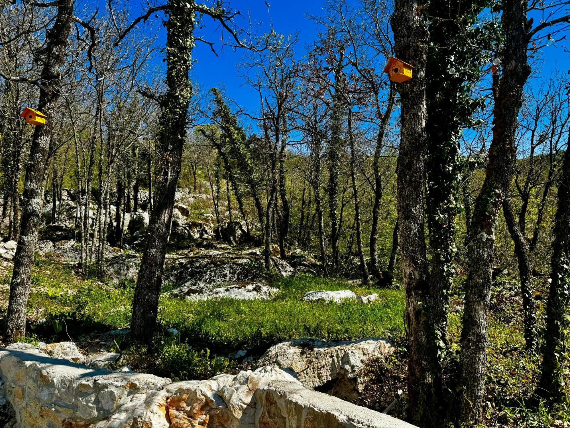 Luxury Villa Andrea Vrzika In Forest Near The Sea Zagvozd Екстер'єр фото